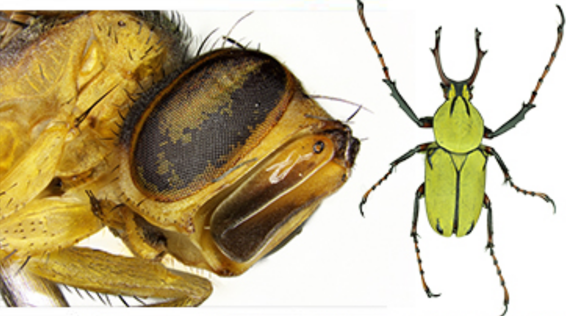 /uploads/image/2025/11/24/36debcb6-f7fa-4283-b34a-474c30cdae62.png 36debcb6-f7fa-4283-b34a-474c30cdae62.png